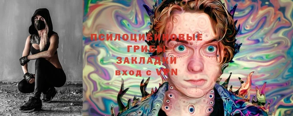 гидра Нязепетровск