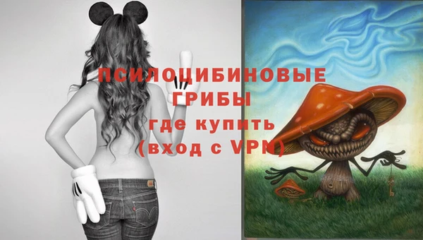 гидра Нязепетровск